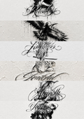 TheWild